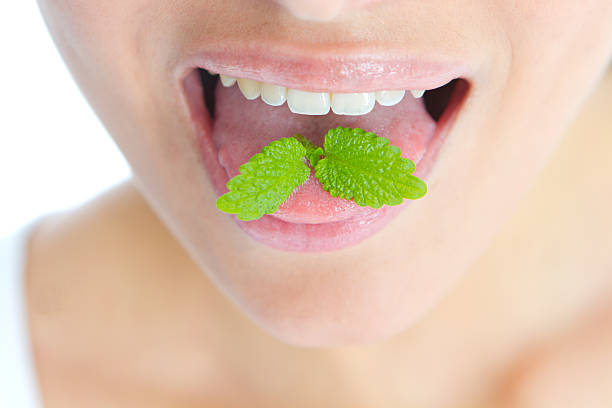 7 Jenis Herbal yang Baik untuk Kesehatan Lidah